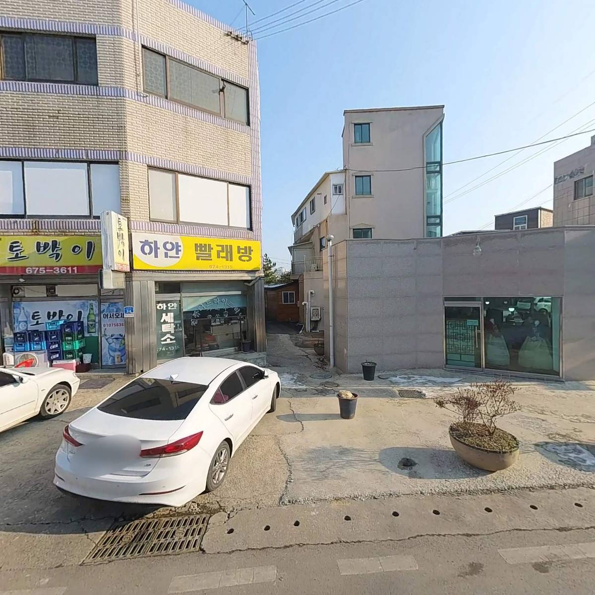 안면황금돼지_3