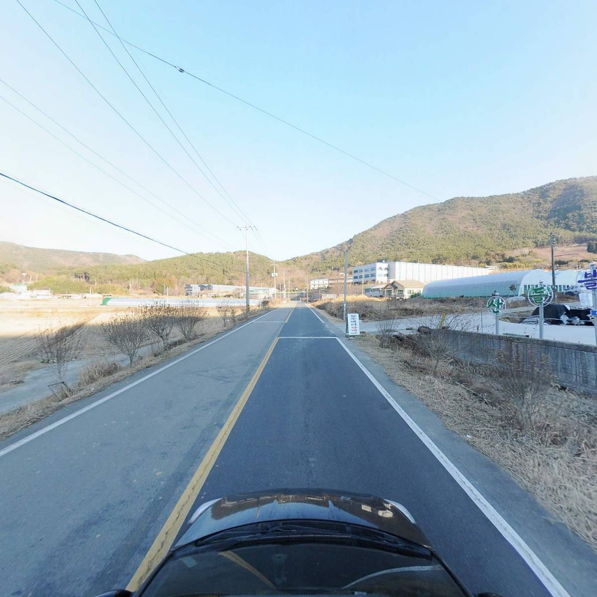 산들블루베리푸드_4