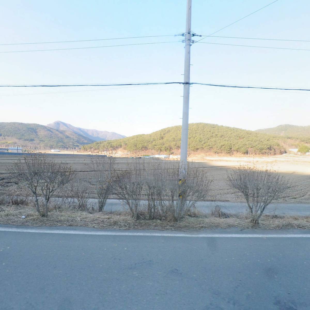 산들블루베리푸드_3
