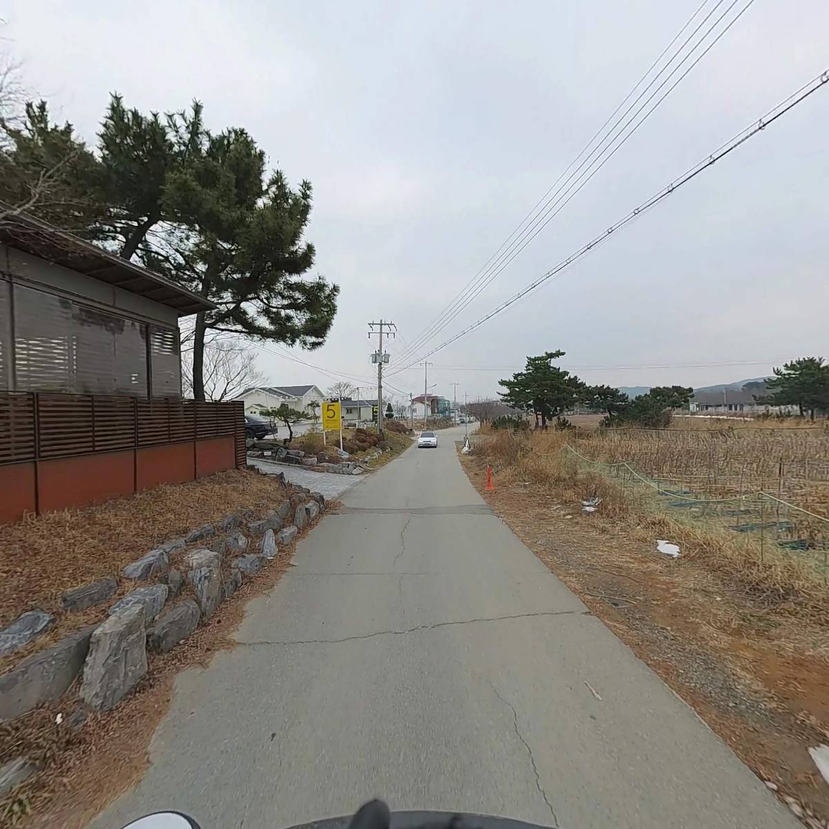 자작나무 리조트_2