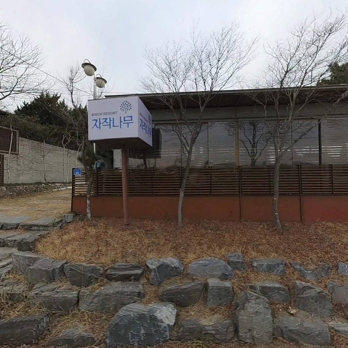 자작나무 리조트