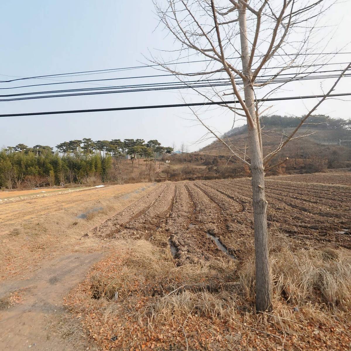 농업회사법인 와이에이치산업