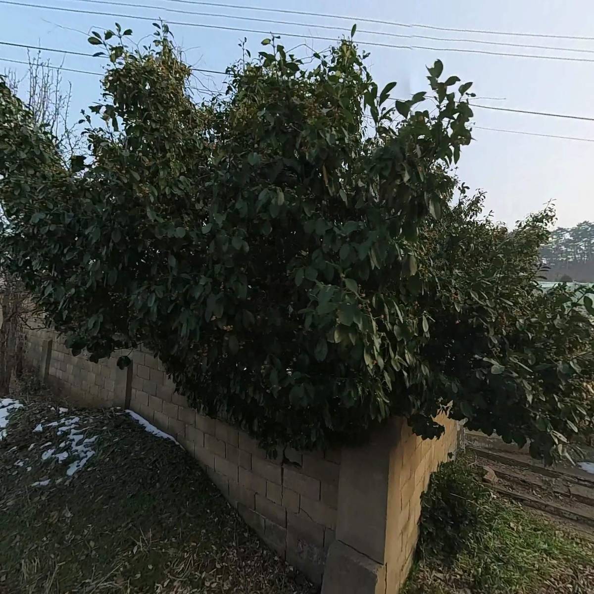 엘렌리조트_3