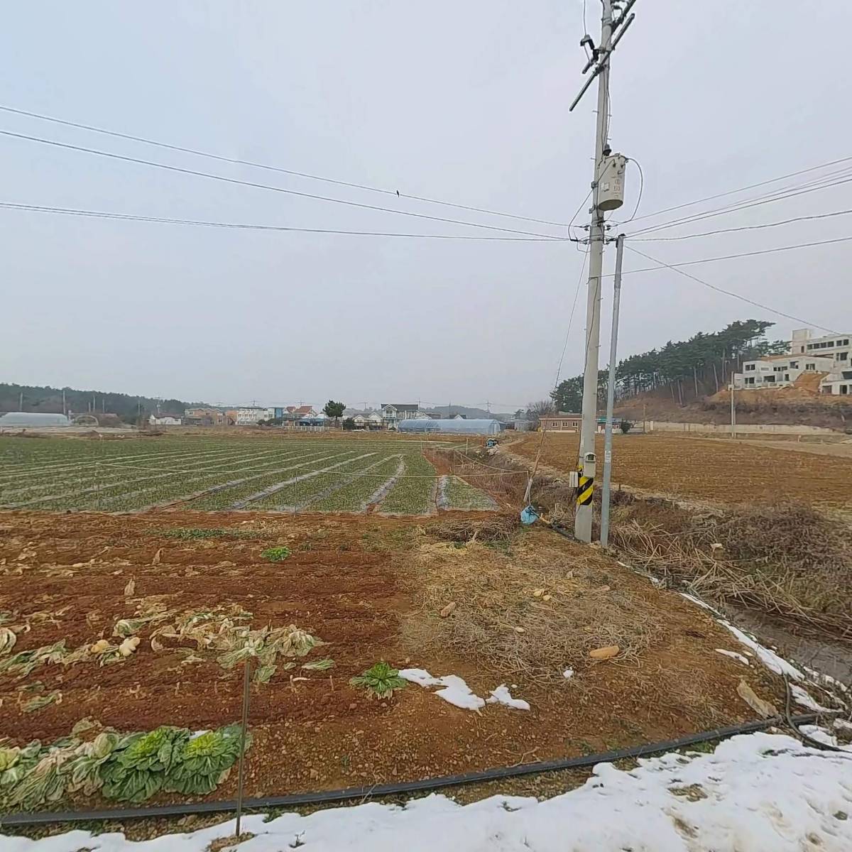 삼봉통나무펜션_3