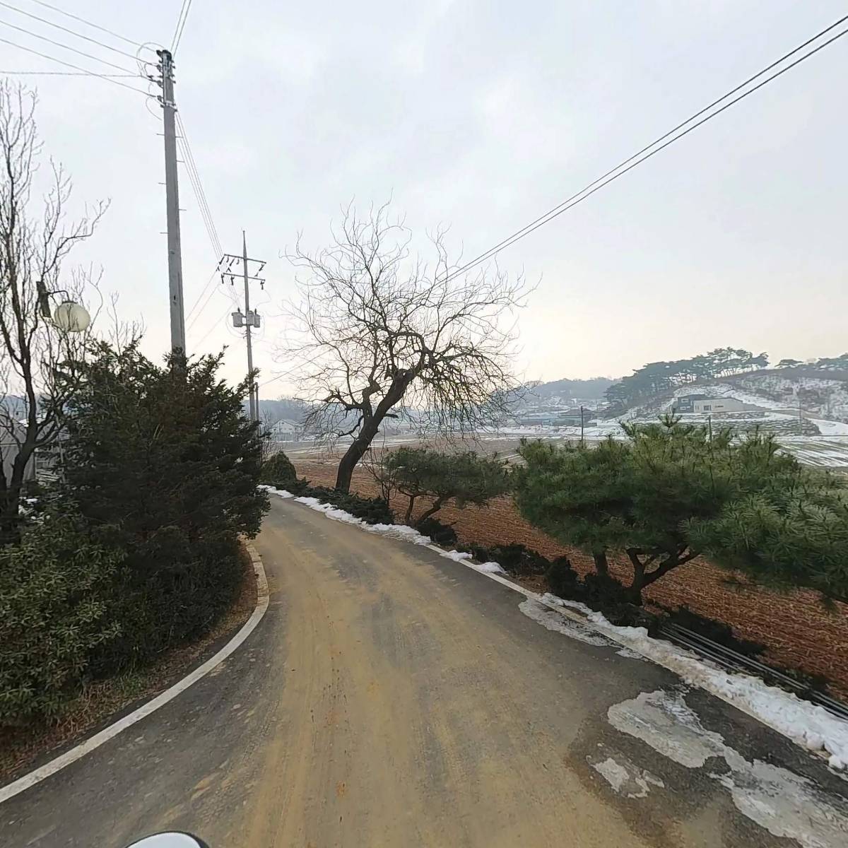 홍주씨들리스 포도 생산자단체_2
