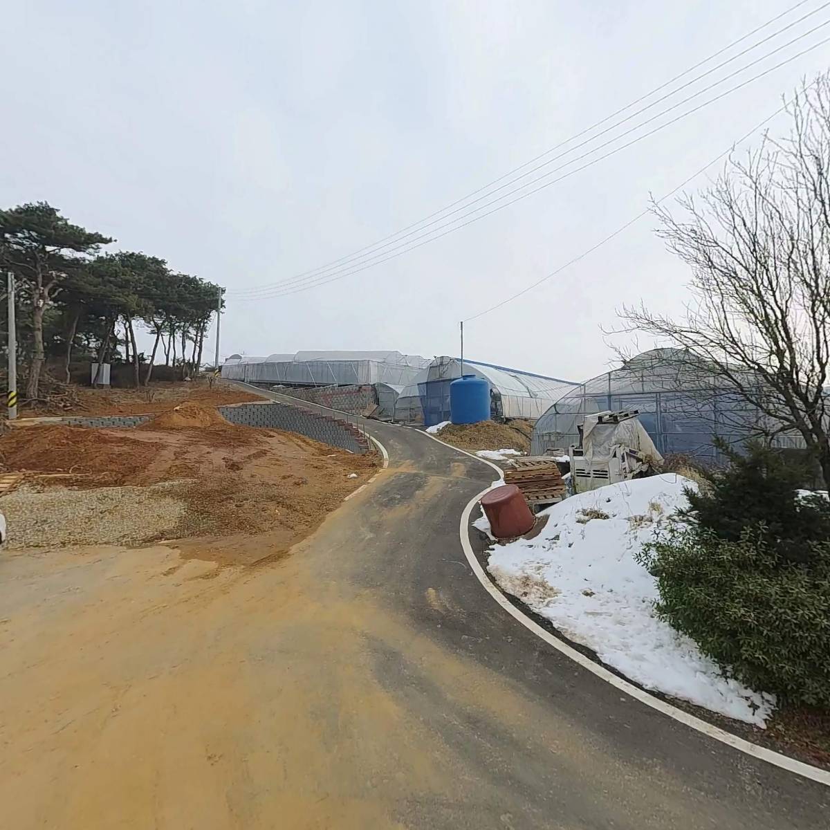 홍주씨들리스 포도 생산자단체
