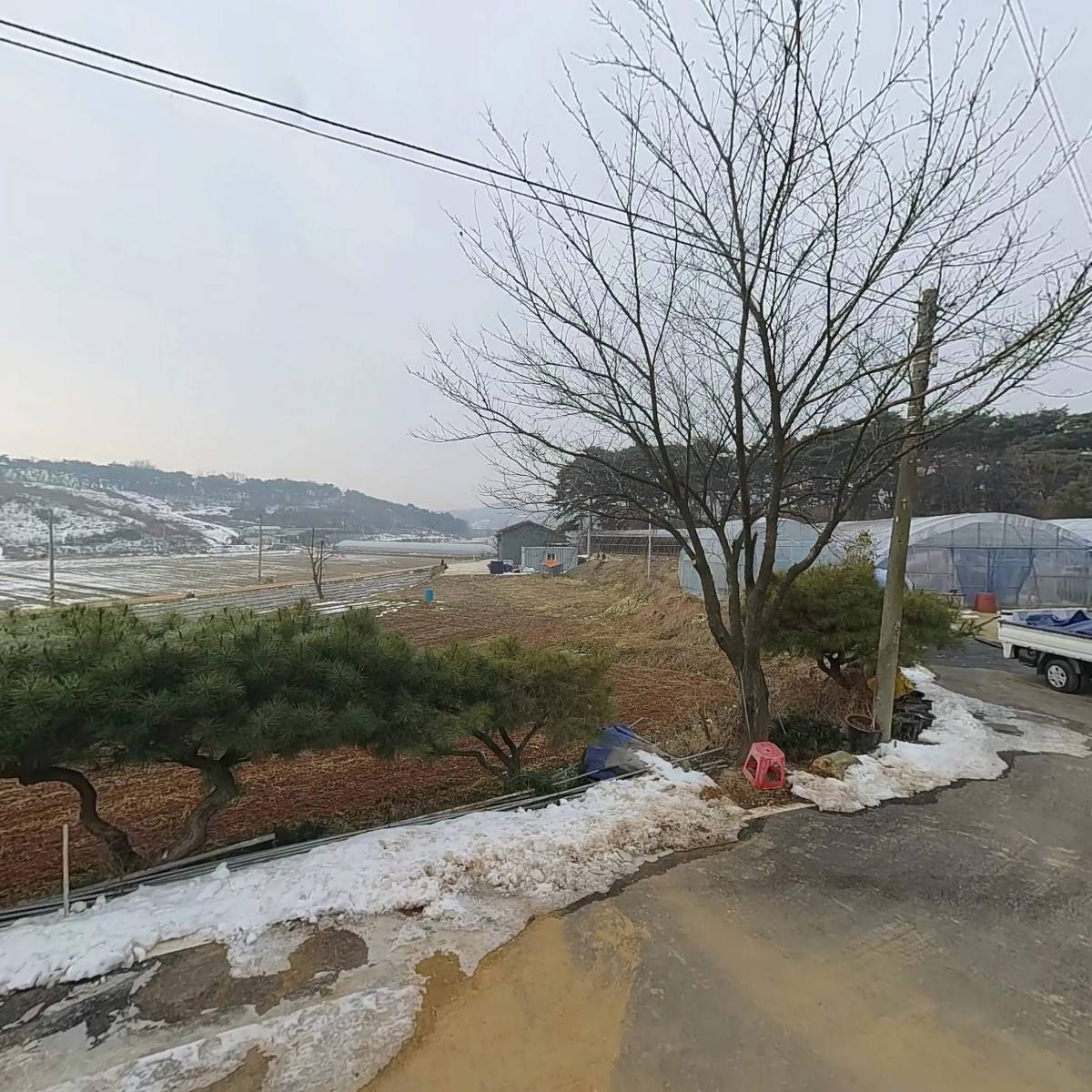 홍주씨들리스 포도 생산자단체_3
