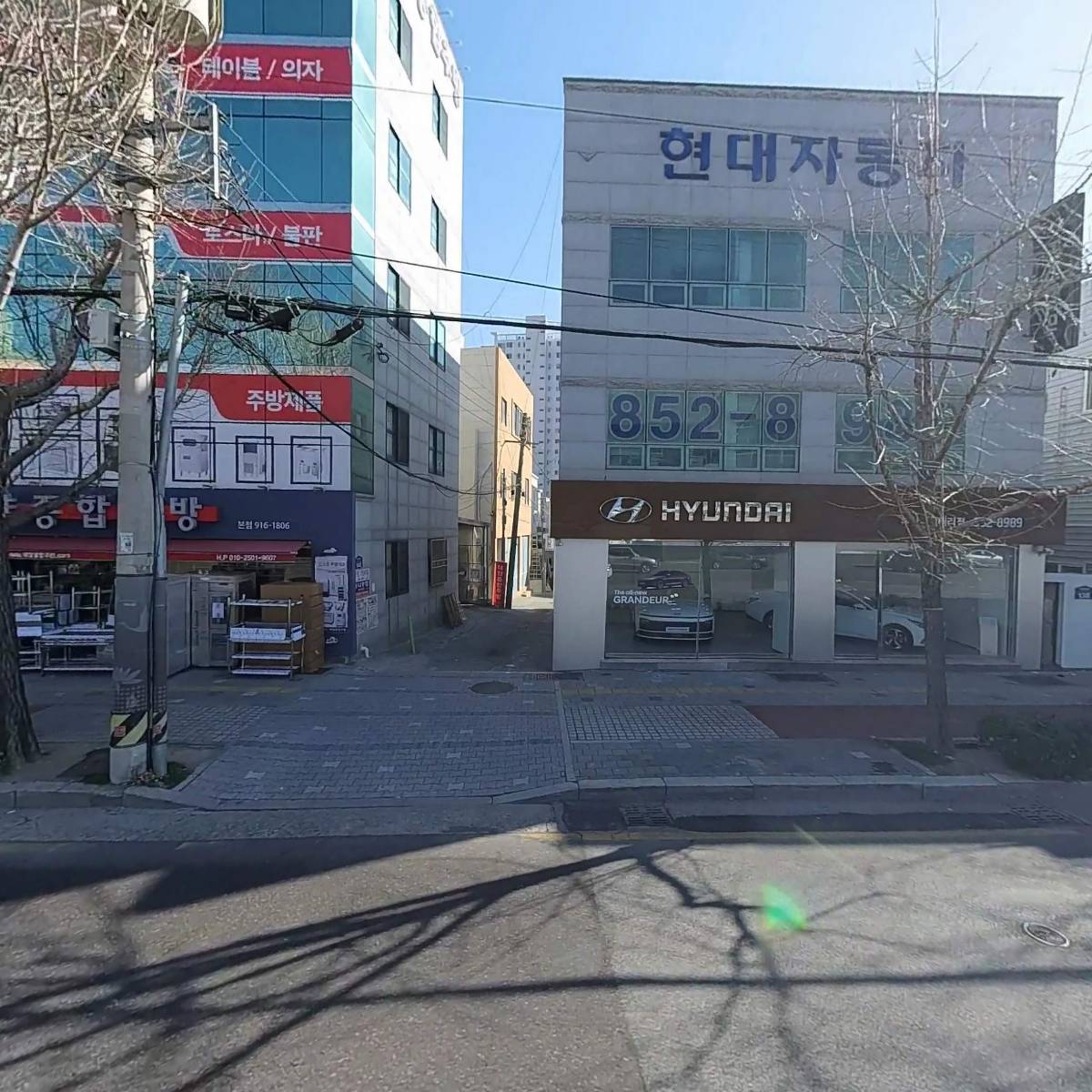 그린라이프네트워크