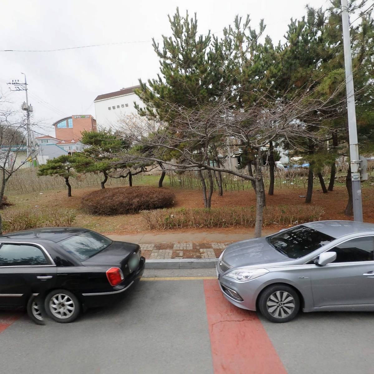 영농조합법인 다인