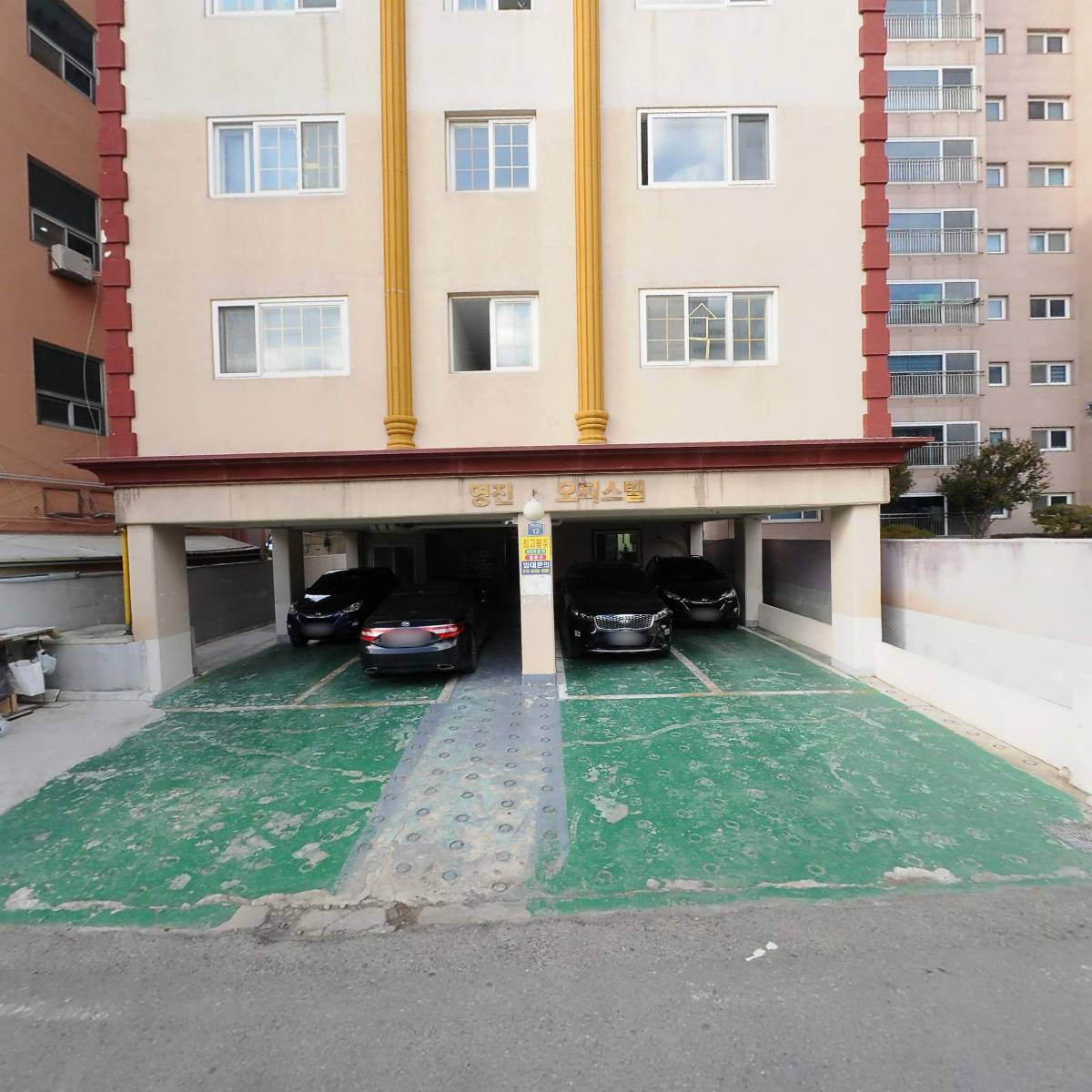 담은 하늘꽃