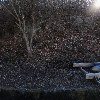 세성사