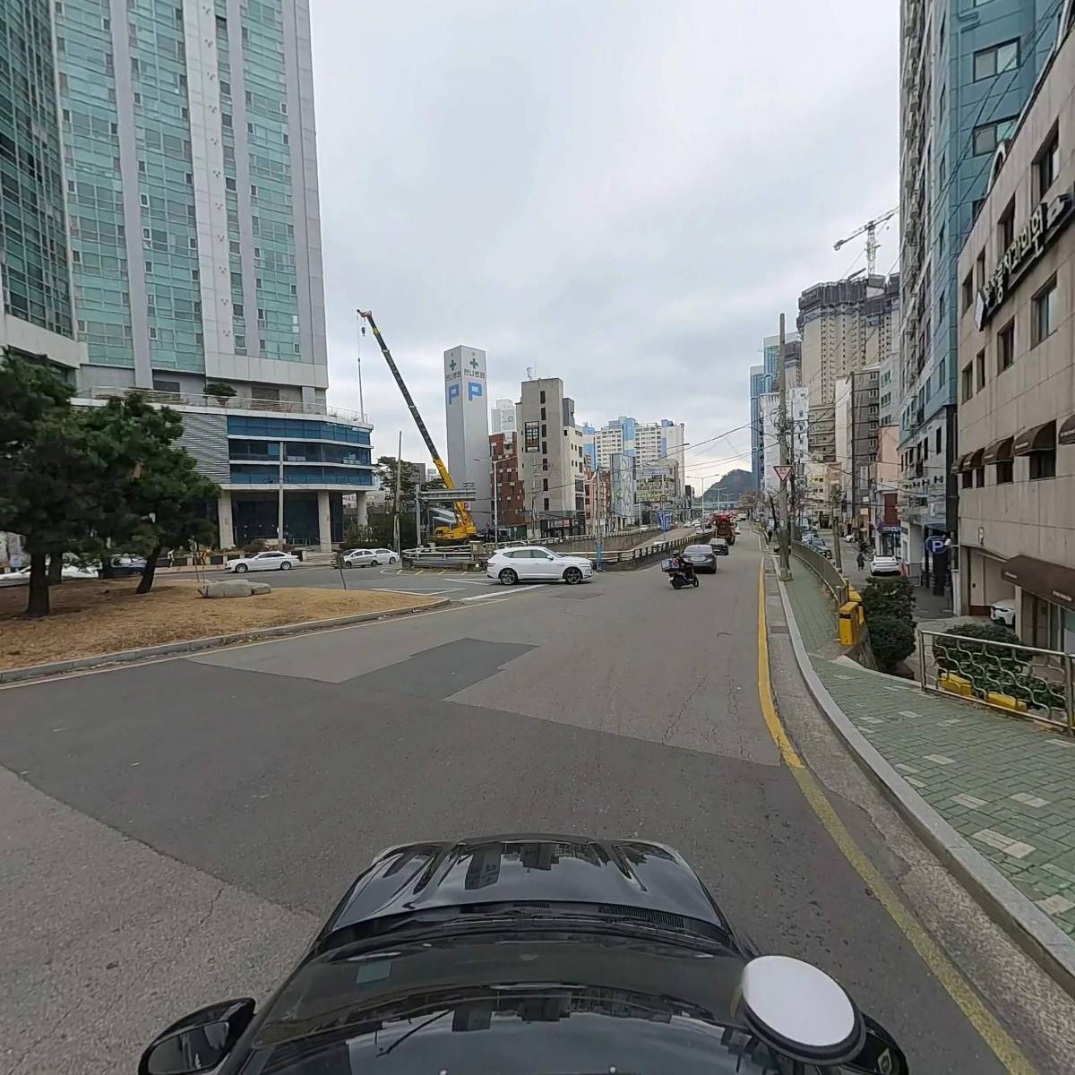 더본 외과동물의료센터_4