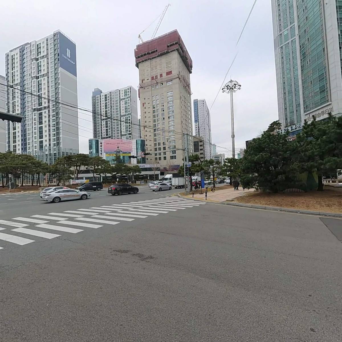 더본 외과동물의료센터_3