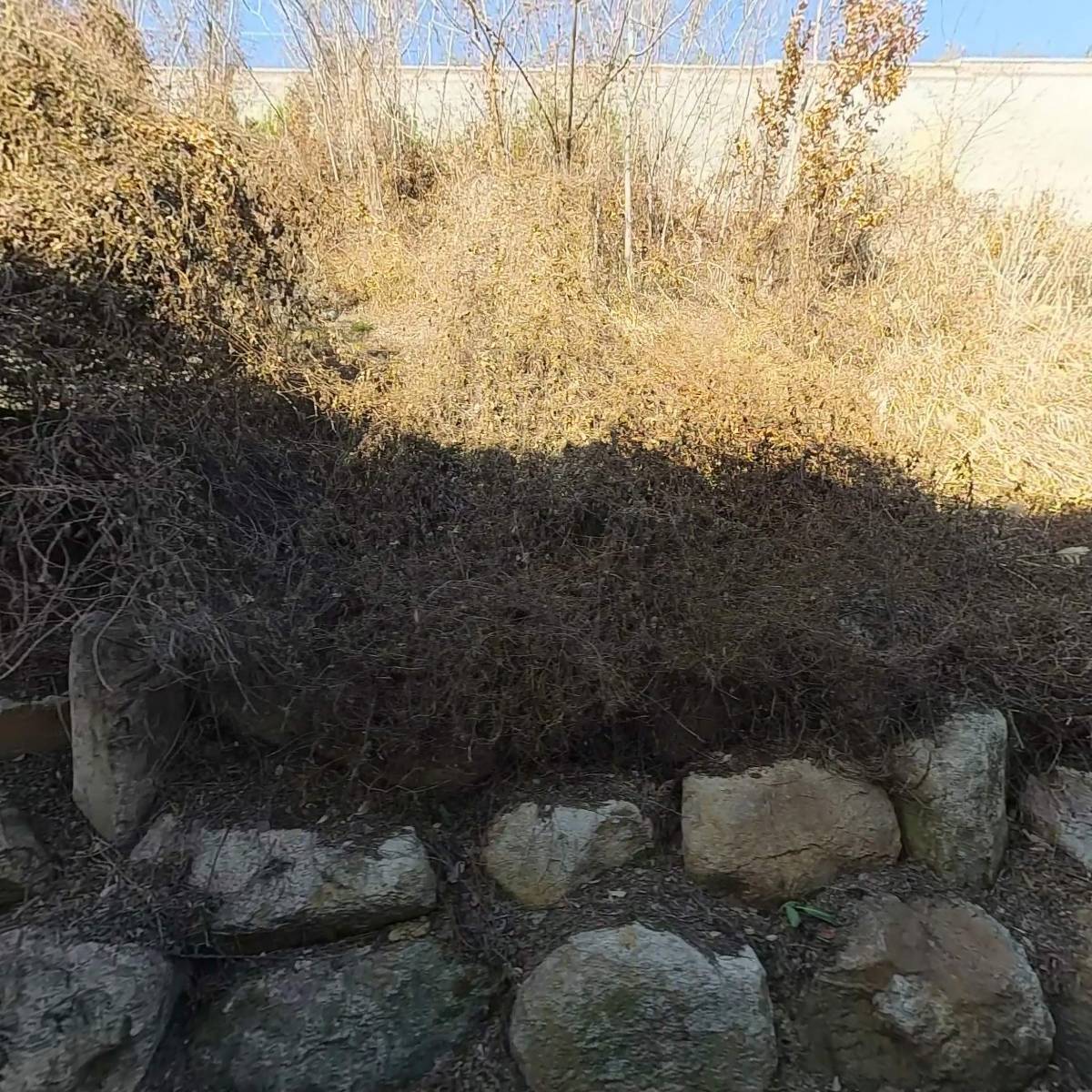 (주)자이언엔텍