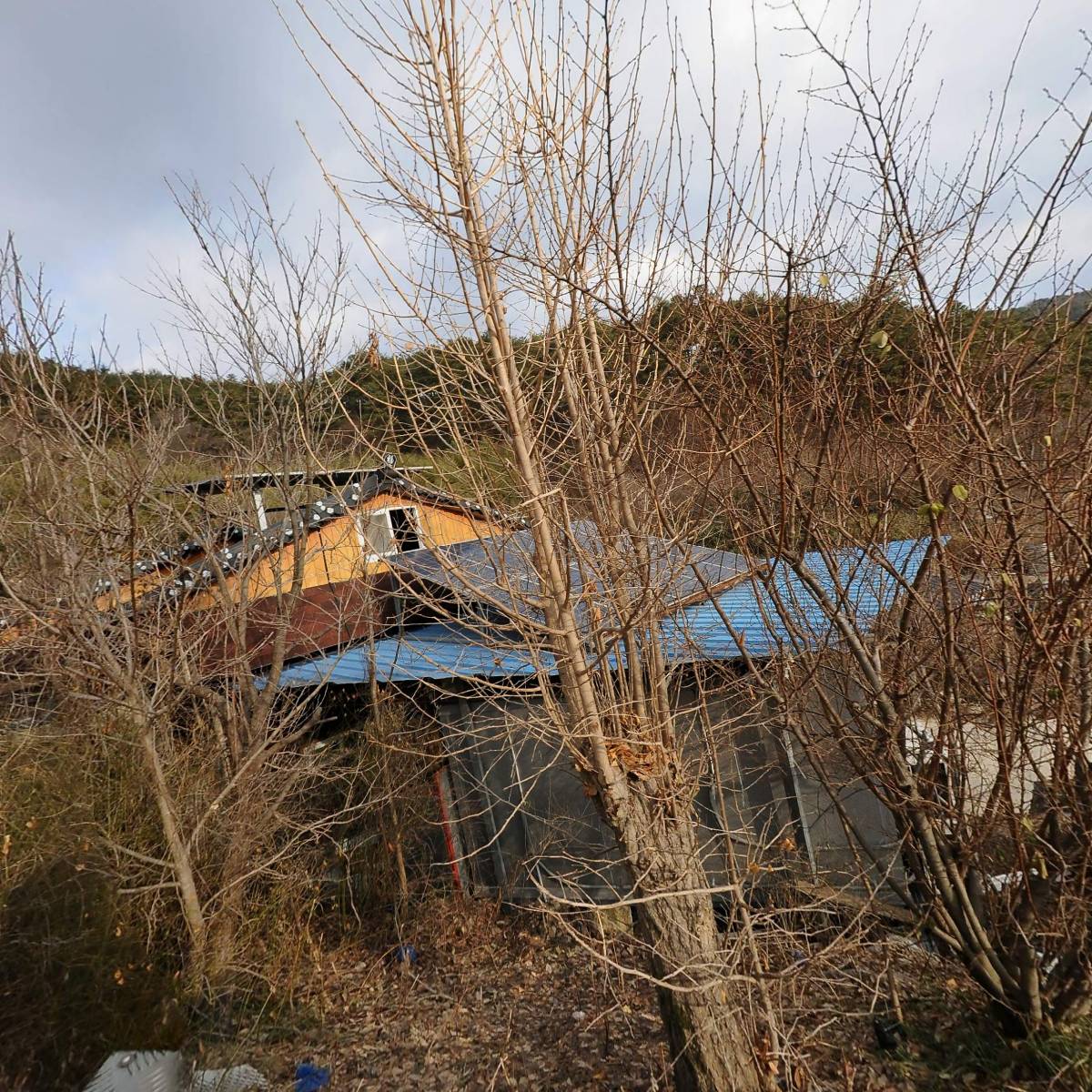 칠갑산힐링센터