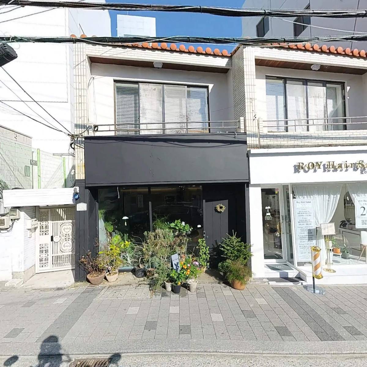 로이헤어살롱