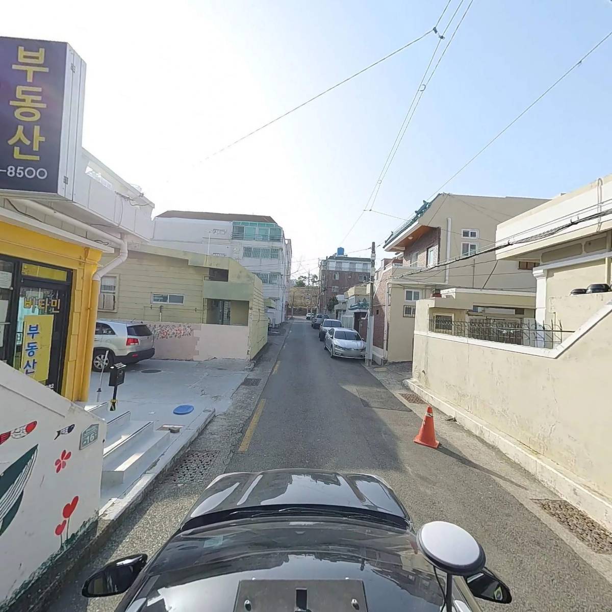 달몽_4