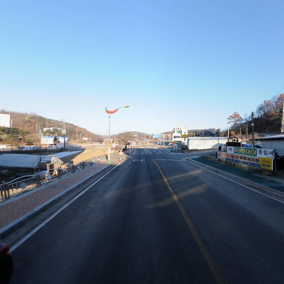 청양군 수영연맹_2