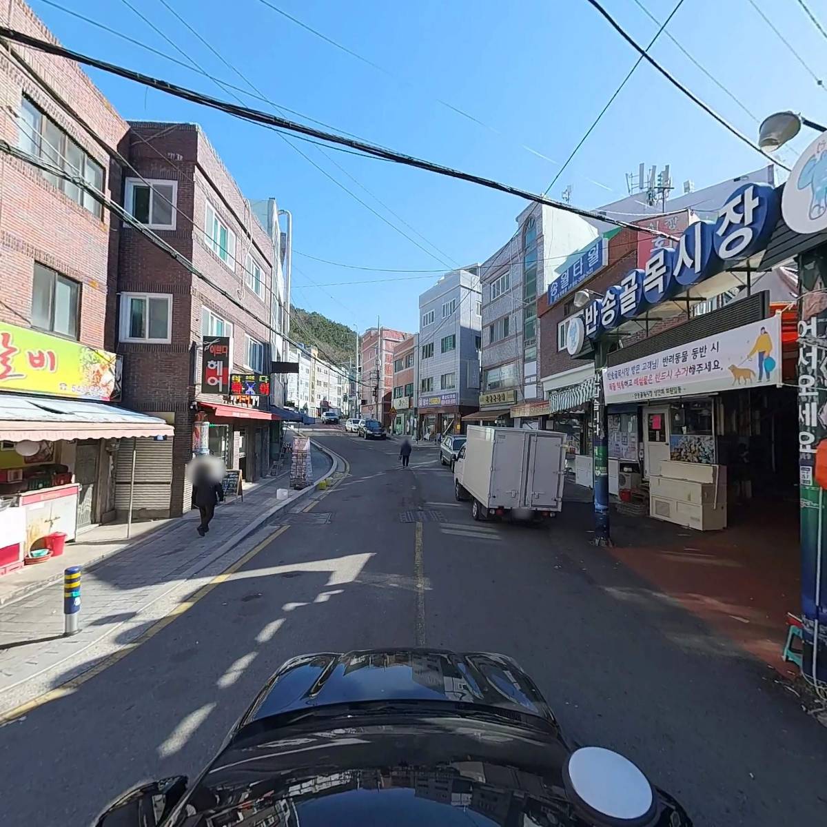 꽃돼지_4