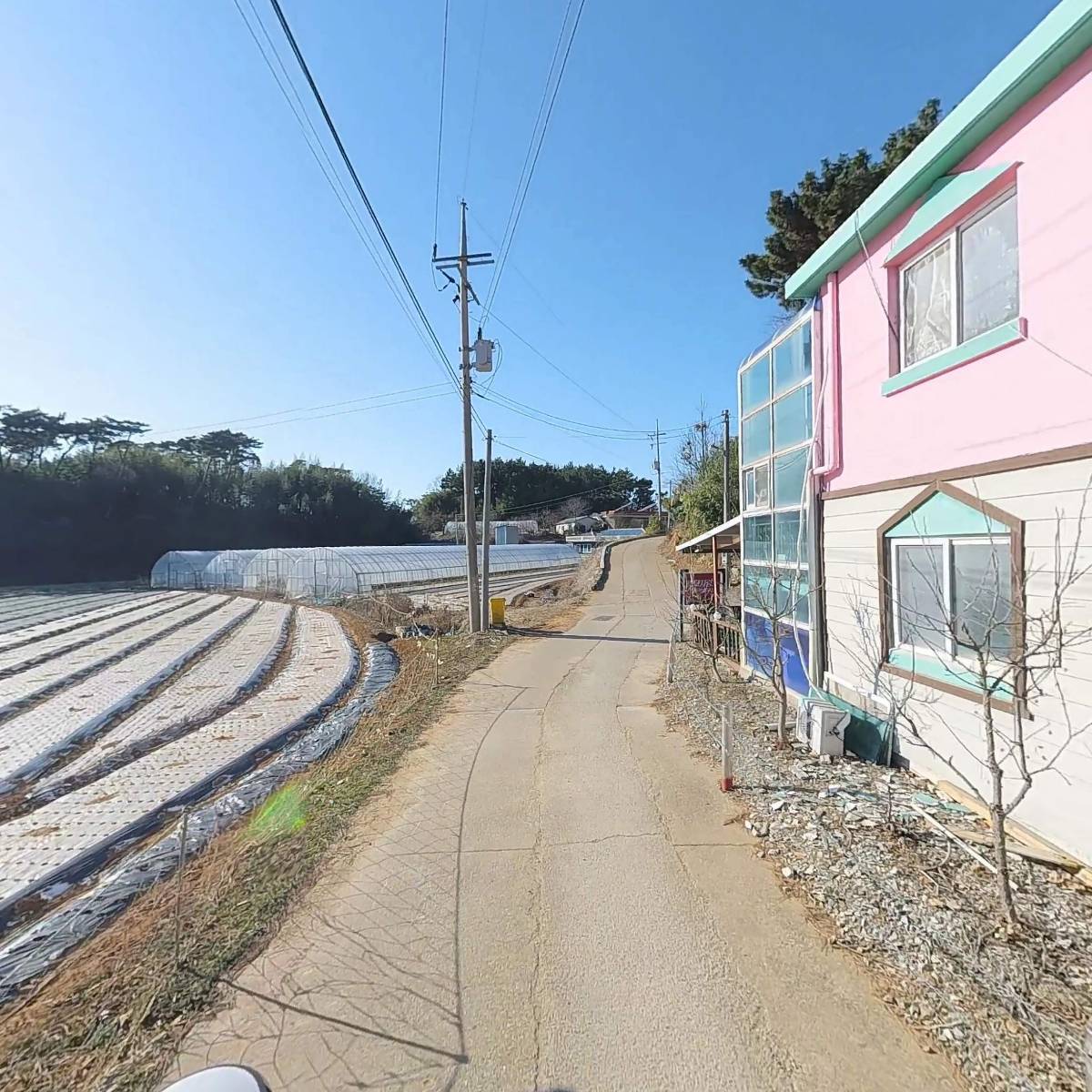 바다사랑호_2
