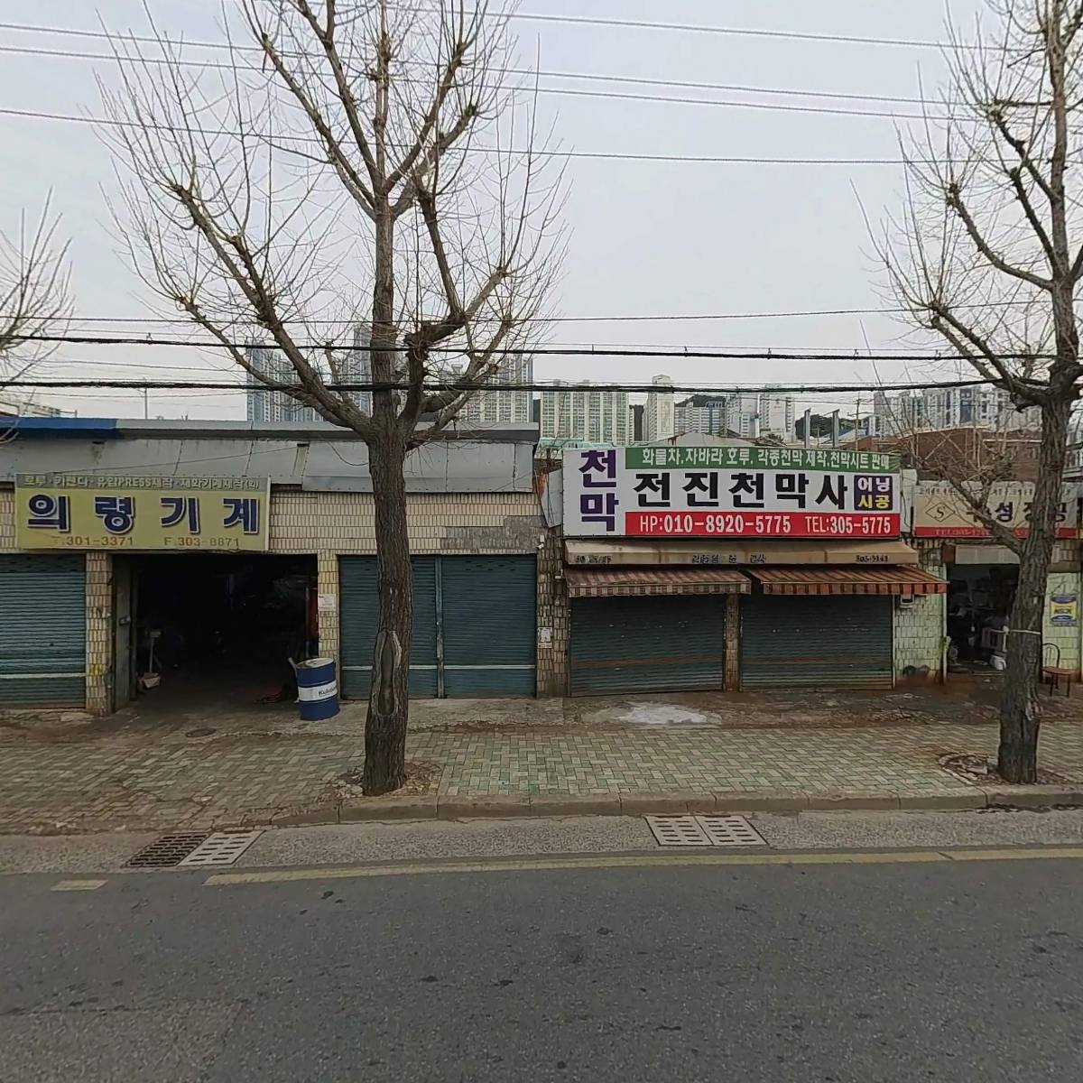 삼정모형