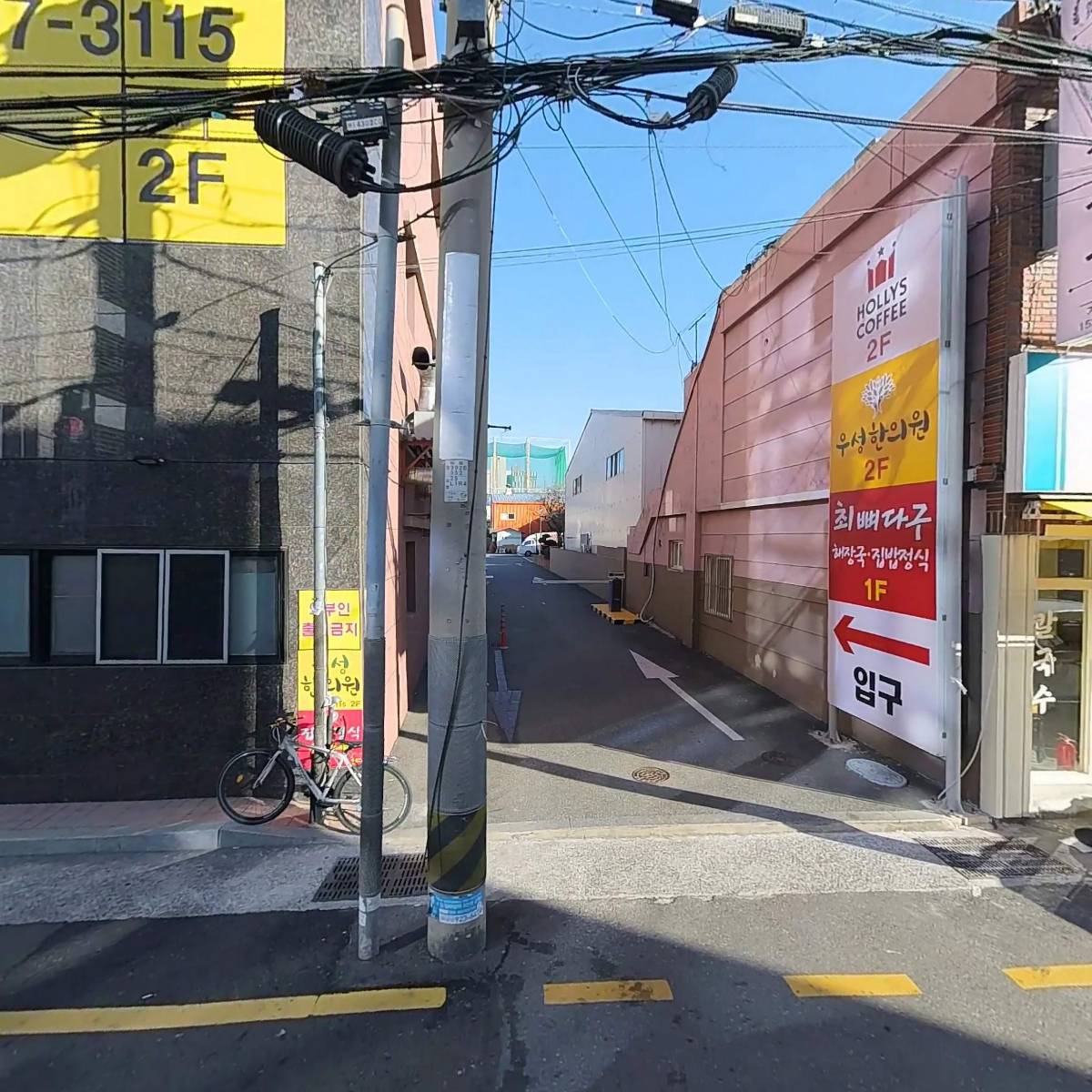 부산에뜬고등어