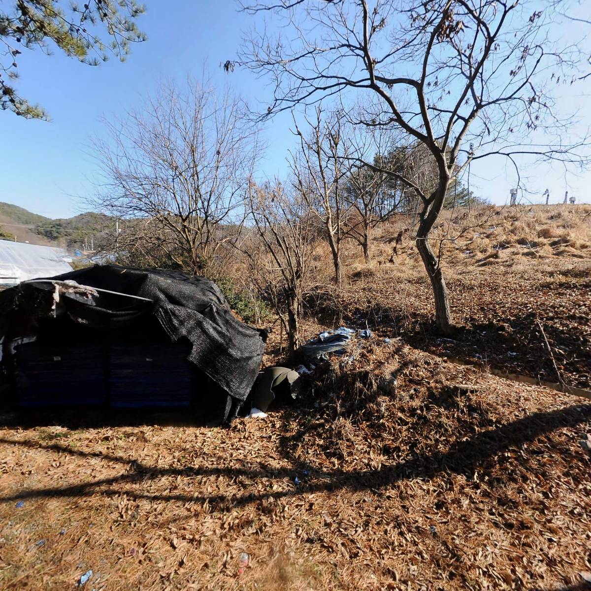 국제문화대학원대학교총동문회_3