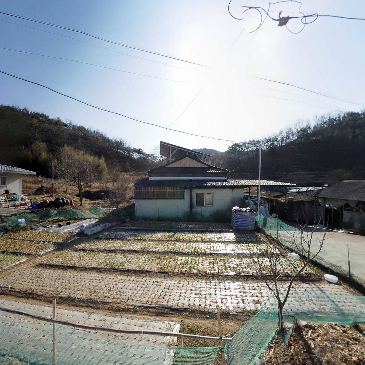 허윤도 태양광