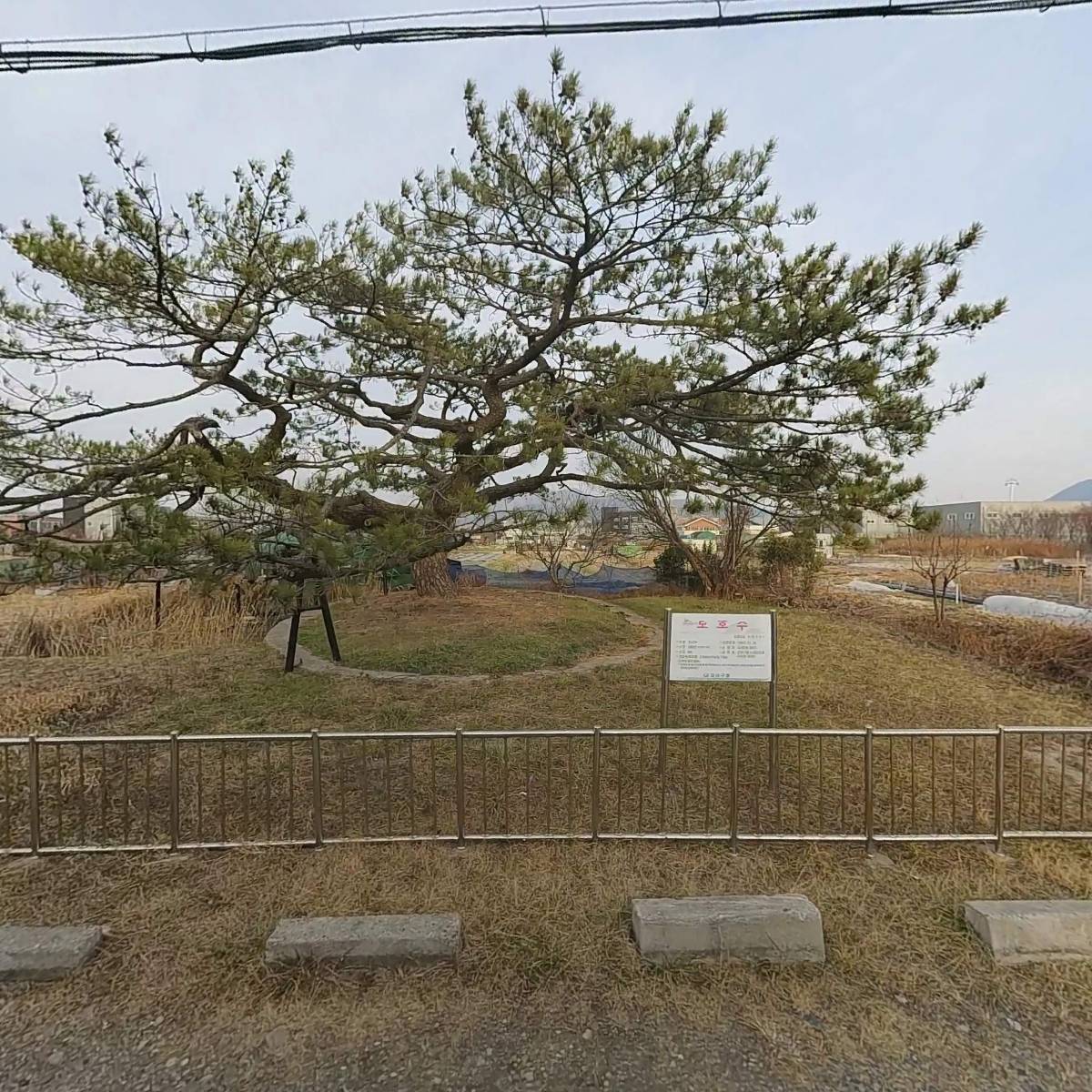 금진종합상사