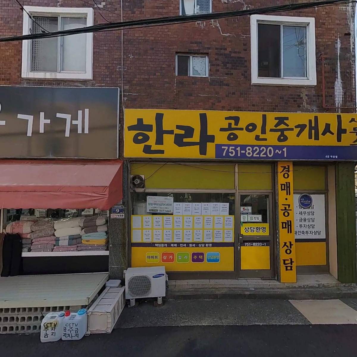 홍삼세상