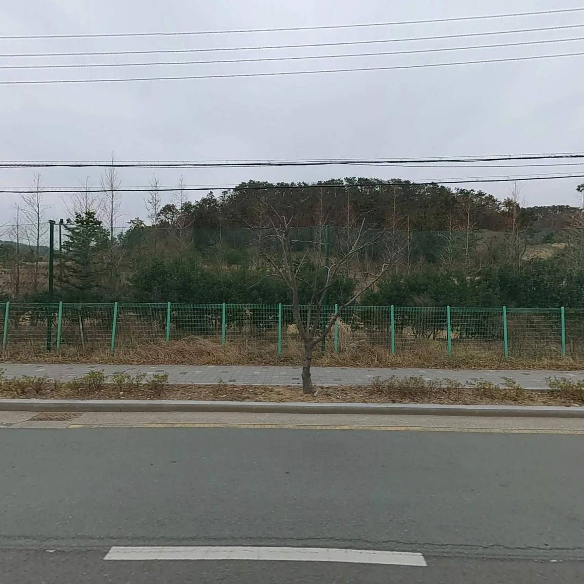뚱보아줌마식품(주)