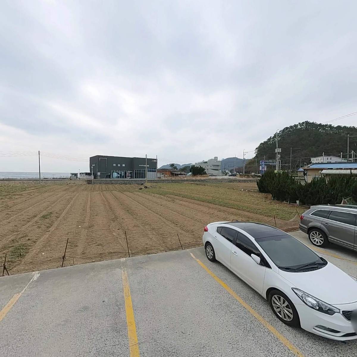 국보미역판매