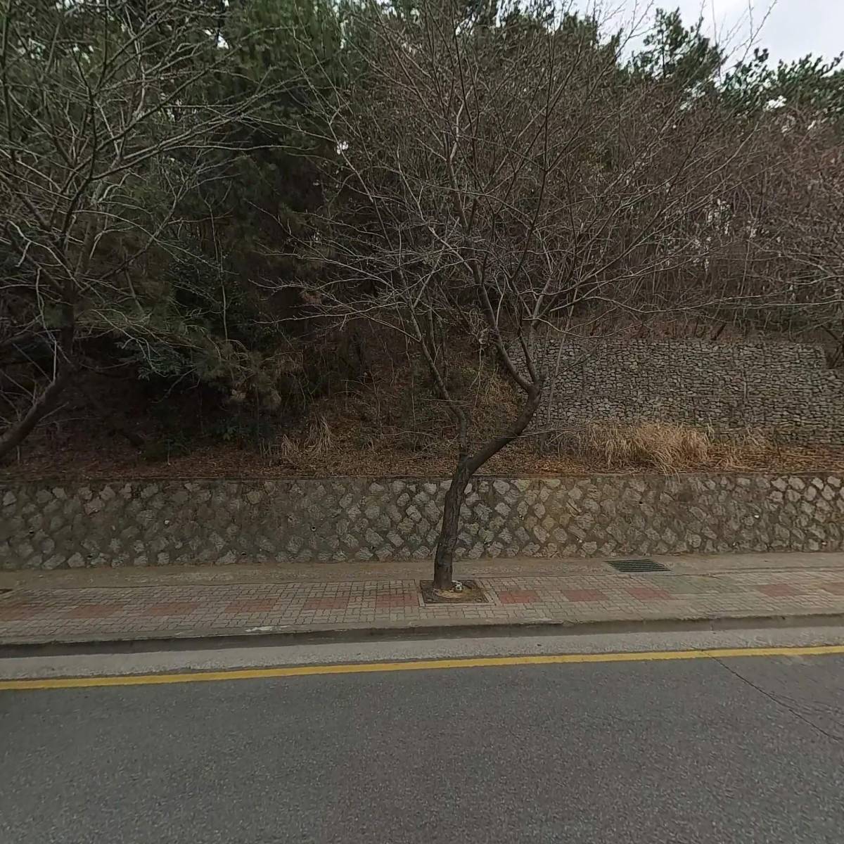 주식회사 비엔솔루션_3