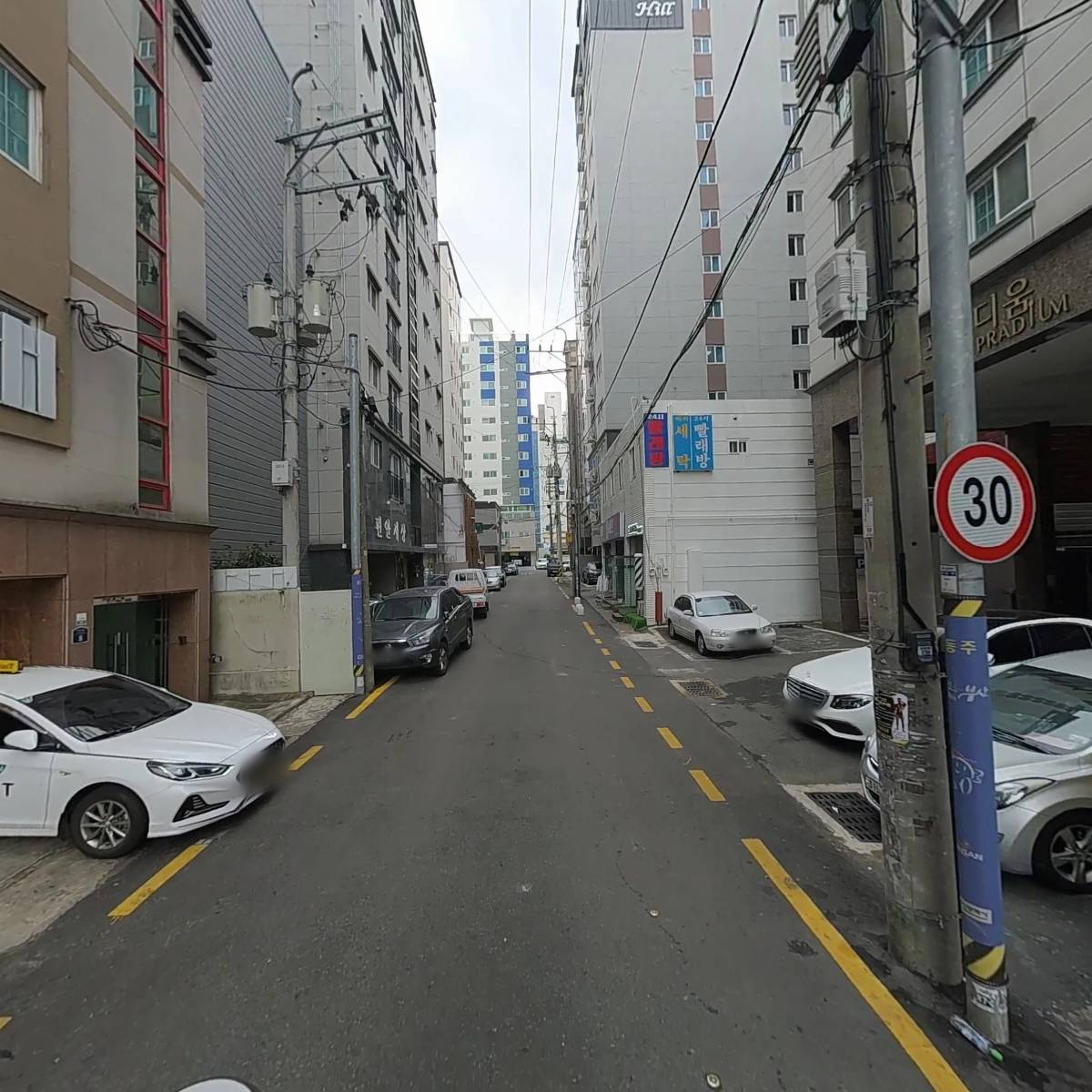 금은비_2