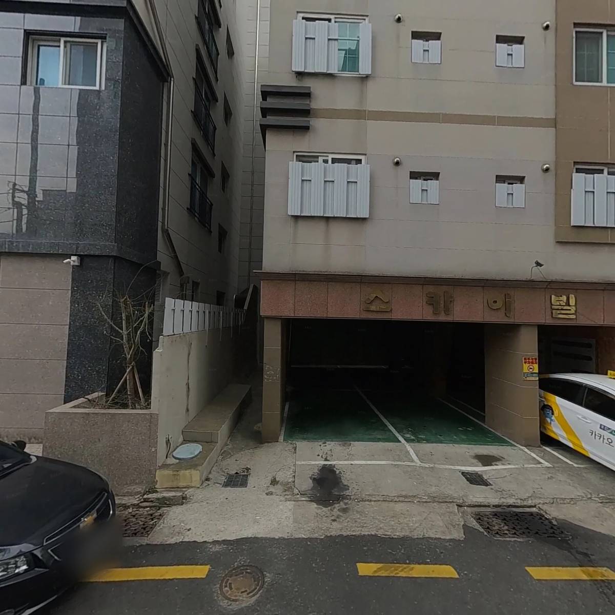 금은비