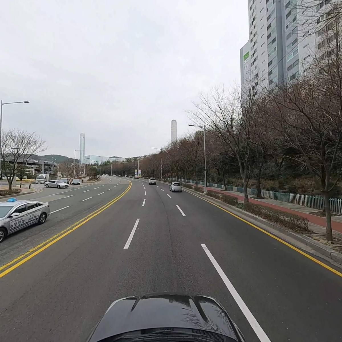 퍼피누리_4