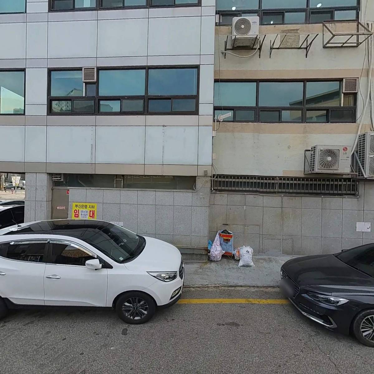 국가대표 경희대 빛 태권도_3