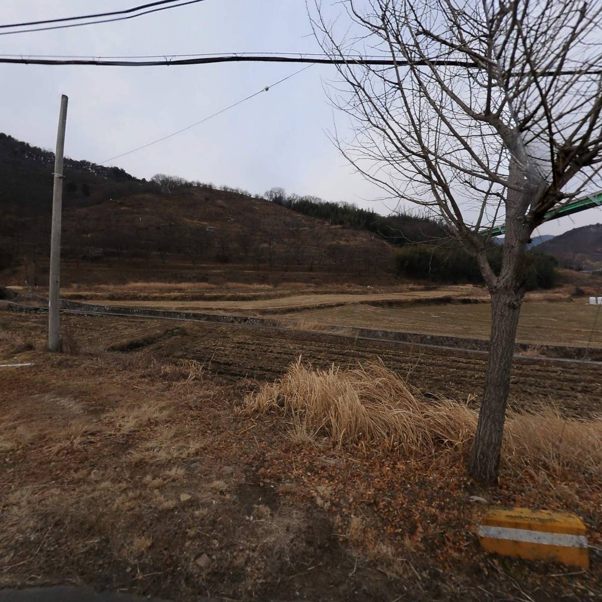 바카스하우스