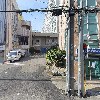 하연보스