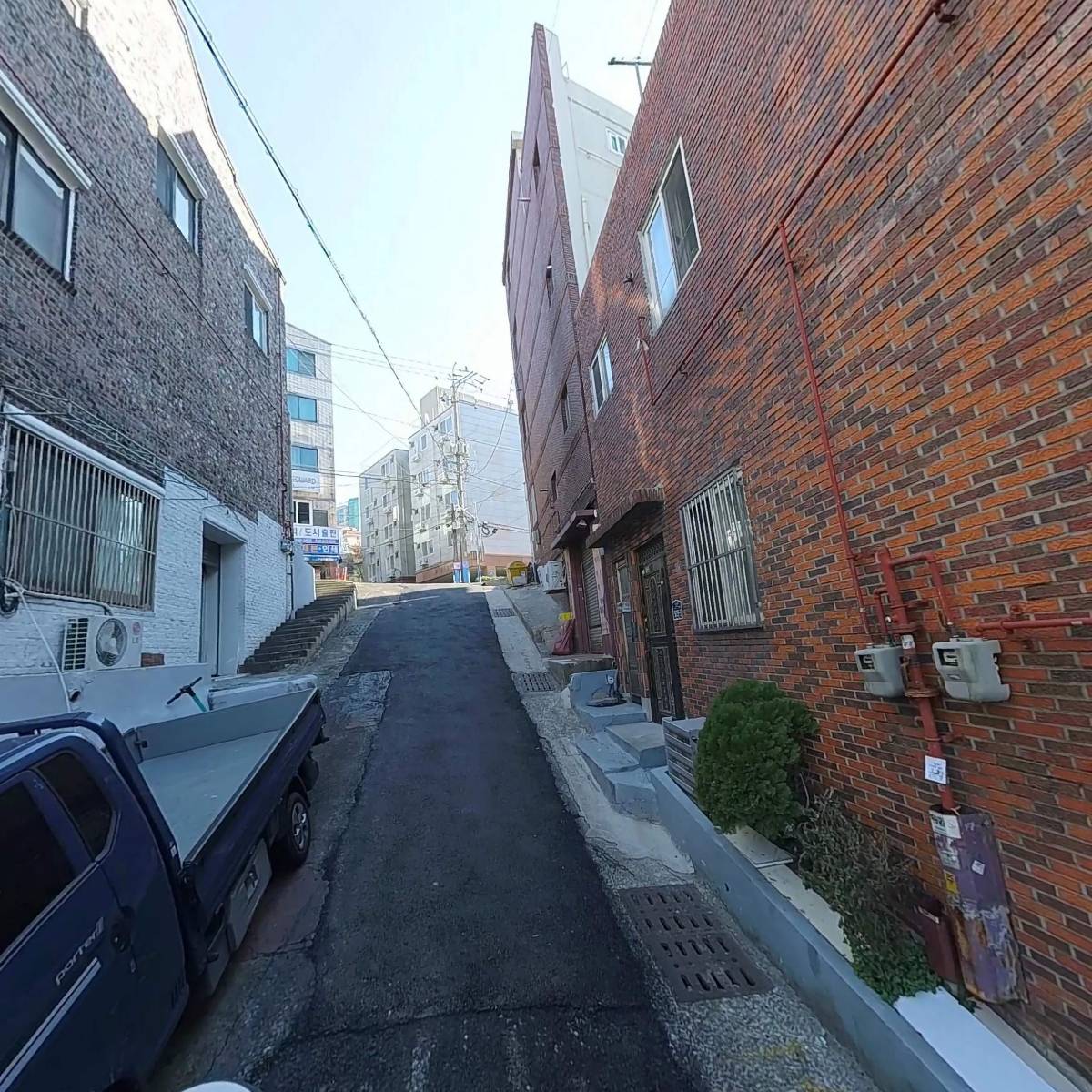 새들처럼_2