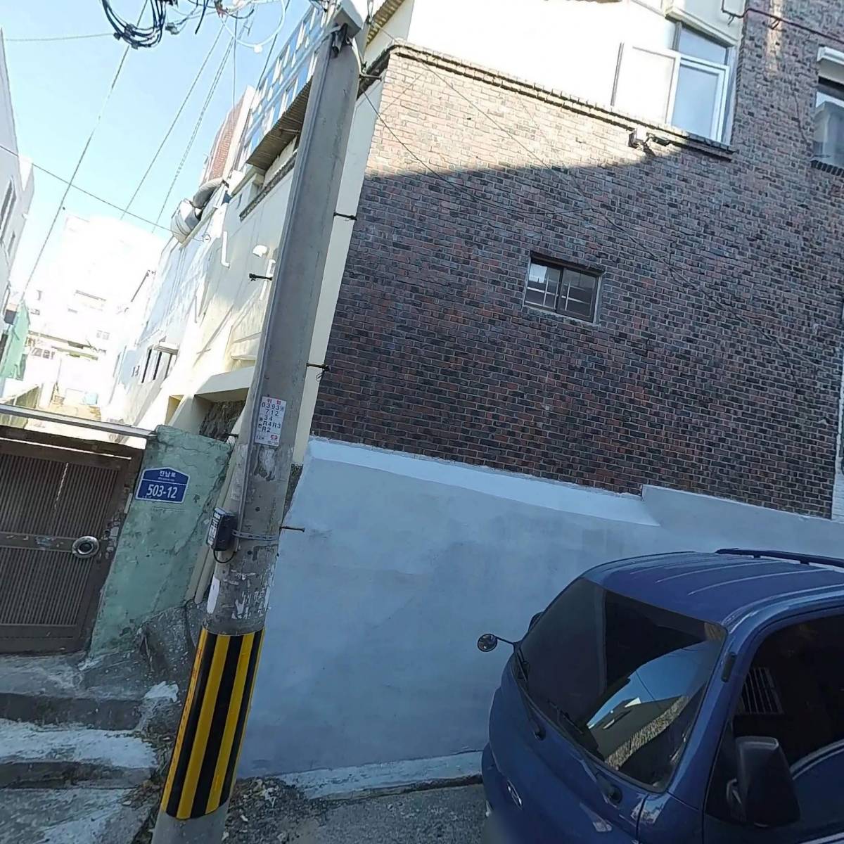 새들처럼