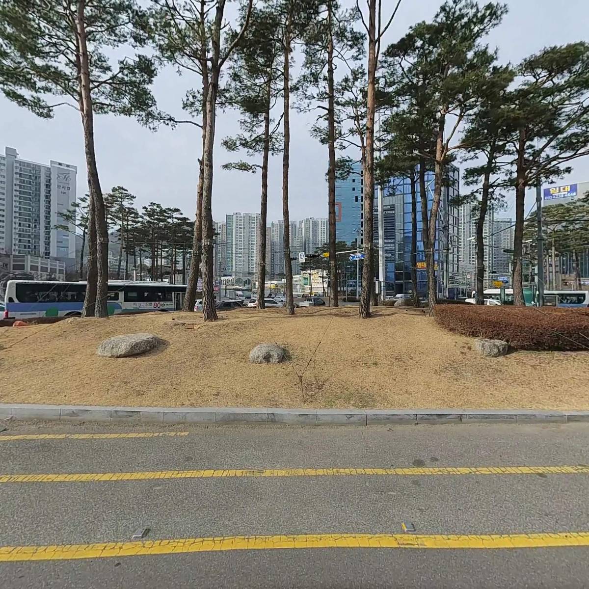 샌디에고어학원_3