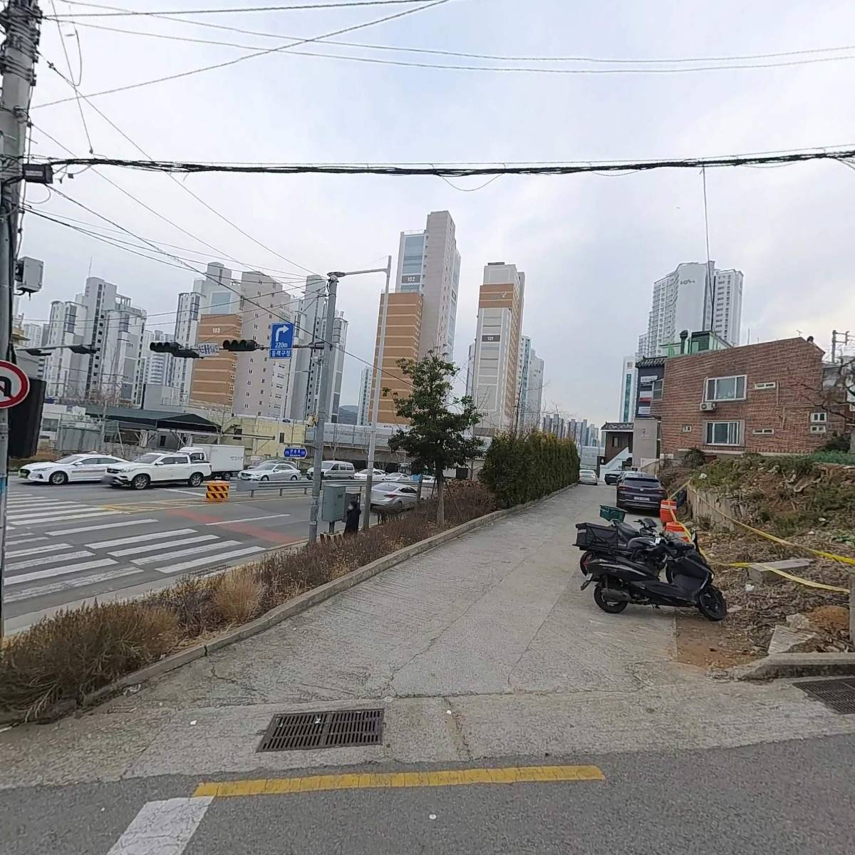 중앙의지보조기