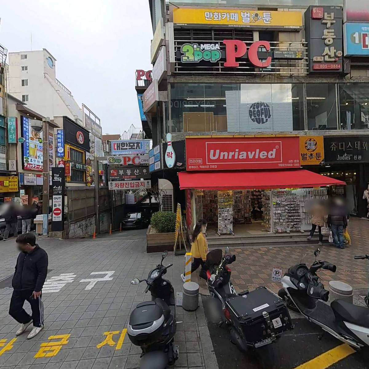 그레이핍플