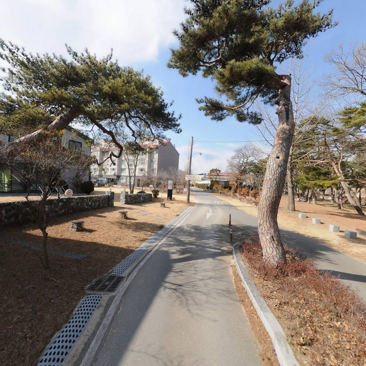 아트스페이스 테라_2