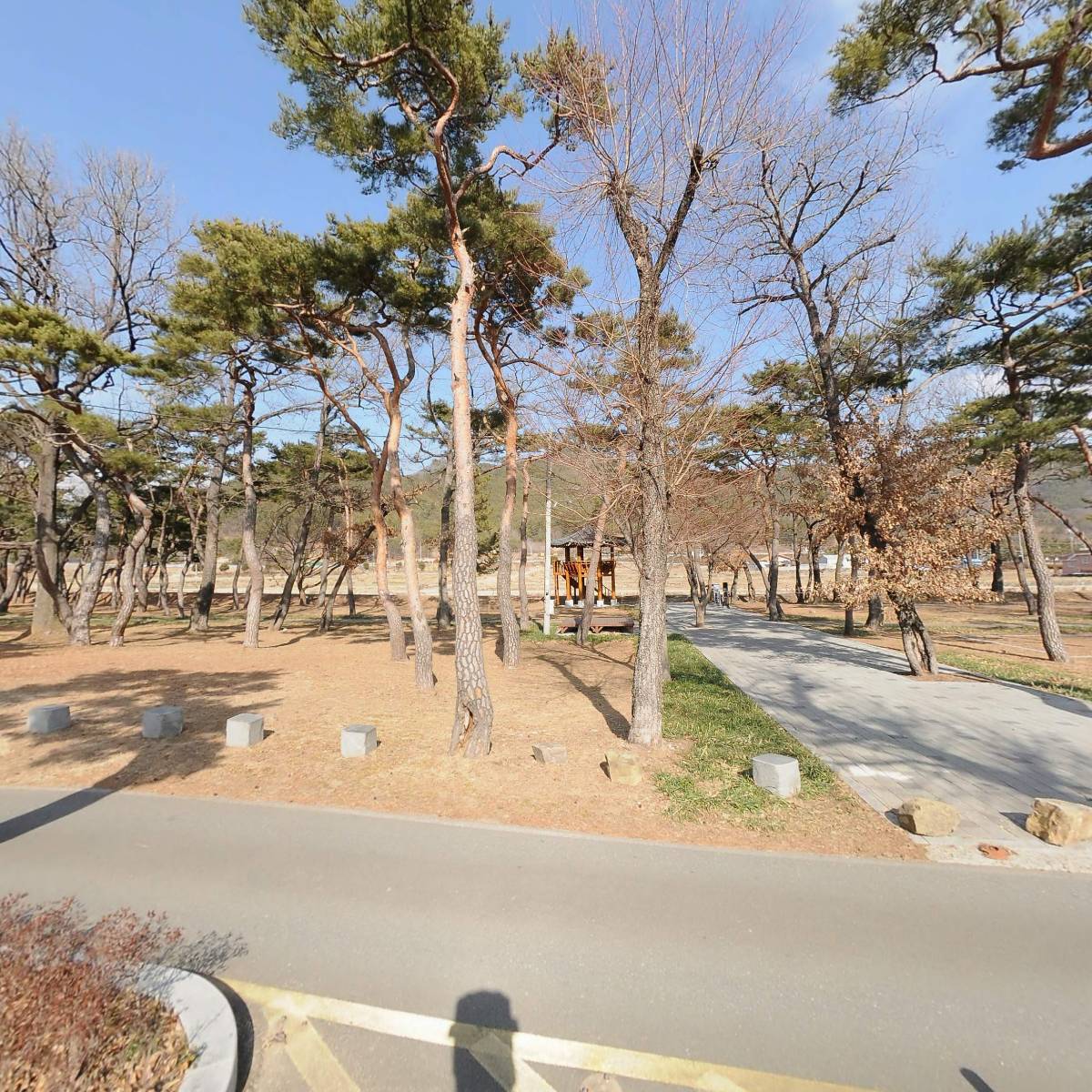 아트스페이스 테라_3