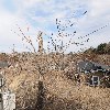 함양한봉영농조합법인_3