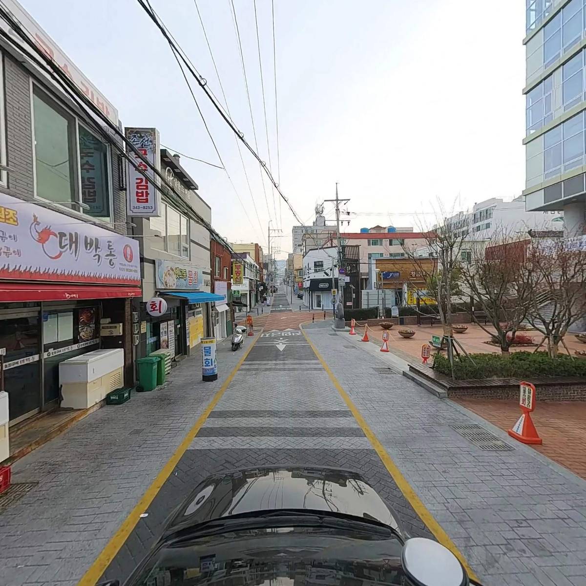 고간재비_4