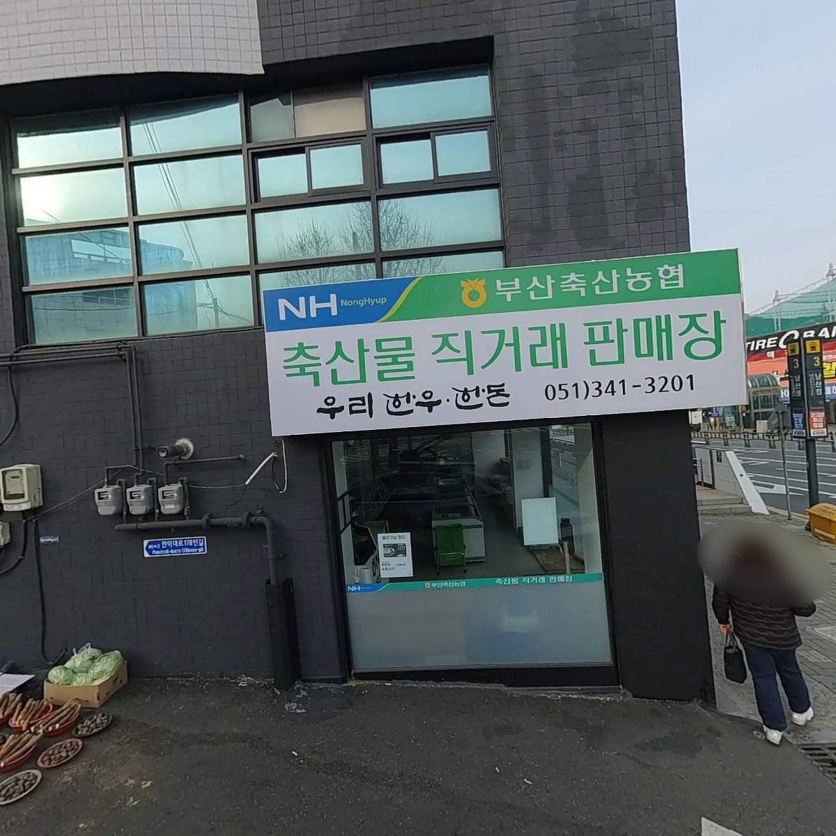 포항물회