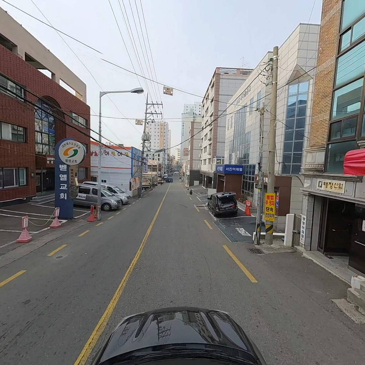 광명어페럴_4